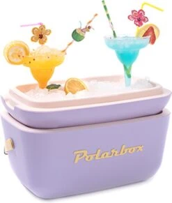 Merkloos Polarbox - Koelbox - Met Schouderband - Paars - 12 Liter - 40x26x(H)23cm -Intex Deals Winkel 1019x1200 2