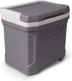 Igloo Profile II 16 - Kleine Koelbox - 15 Liter - Grijs -Intex Deals Winkel 1074x1200 2