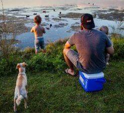 Coleman 16QT Performance Tricolor Koelbox - 15L - Blauw/Grijs -Intex Deals Winkel 1200x1094 5