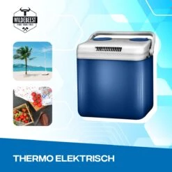 Koelbox Met ECO Modus Voor Auto & Camping Warm En Koud 32L - Frigobox Elektrisch 32 Liter Met 12v 230 Volt - Verkoelt En Verwamt - MiniBar - Mini Koelkast -Intex Deals Winkel 1200x1200 531