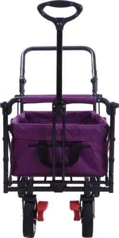 FUXTEC Bolderkar CT-700 - Paars -Intex Deals Winkel 603x1200